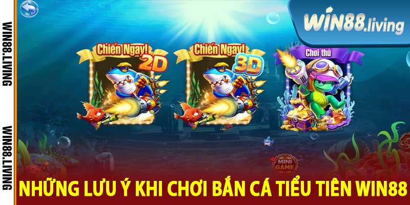 Những Lưu Ý Khi Chơi Bắn Cá Tiểu Tiên Win88